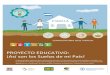 PROYECTO EDUCATIVO - Así son los suelos de mi país · 2021. 3. 31. · ODS ¡Así son los Suelos de mi País! PROYECTO EDUCATIVO: Proyecto dirigido a jóvenes de los últimos dos