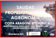 Jornada de SALIDAS PROFESIONALES COITA ARAGON 27 ...eps.unizar.es/sites/eps.unizar.es/files/users/ccano/...Microsoft PowerPoint - Jornada de SALIDAS PROFESIONALES COITA_ARAGON 27.04.2021_VFOK.pptx