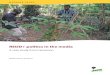 REDD+ politics in the media : a case study from Cameroon - CIFOR
