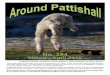 No. 194 · 2015. 2. 15. · Around Pattishall March to April 2015 1 No. 194 March - April 2015 Leaping Leicester Longwool lamb, Sutton’s Walk footpath, by Barry Evans. Final copy