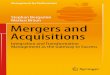 Mergers and Acquisitions : Integration and Transformation Management as the Gateway to Success