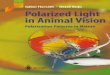 Polarized Light in Animal Vision: Polarization Patterns in Nature