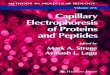 Capillary Electrophoresis of Proteins and Peptides
