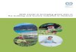 Skills needs in emerging green jobs in the building and tourism industries in Thailand pdf