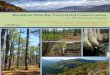 Resilient Sites for Terrestrial Conservation in the Southeast Region