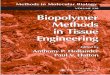 Biopolymer Methods in Tissue Engineering [Methods in Molec Bio 238] - A. Hollander, P. Hatton (Humana, 2004) WW