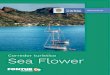 Corredor turístico Sea Flower · 2020. 8. 17. · 2 3 CORREDOR TURSTICO SEA FLOWER En portada: Isla de Providencia, Archipiélago de San Andrés, Providencia y Santa Catalina. César
