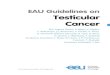 EAU Guidelines on Testicular Cancer - Uroweb · 2021. 4. 1. · with cancer of the testis. Testicular cancer (TC) represents 5% of urological tumours affecting mostly younger males