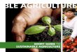 BLE AGRICULTURE - SAI Platform - Home