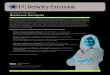 Business Analysis - UC Berkeley Extension - University of California
