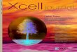 ISSUE 43, SUMMER 2002 XCELL JOURNAL XILINX, INC. Cover Story