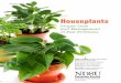Houseplants: Proper Care and Management of Pest Problems