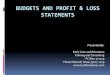 Budgets and Profit Loss Statements