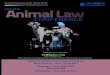 SUBSTANTIVE Animal Law