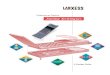 Engineering Plastics Joining Techniques - LANXESS - Energizing