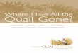 Where Have All the Quail Gone? - Texas Parks & Wildlife Department