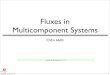 Fluxes in Multicomponent Systems