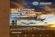 2011 U.S. Commercial Space Transportation Developments and
