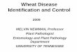 Wheat Disease Identification and Control -