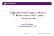 Phytophthora ramorum Update on and P. kernoviae â€“ European and