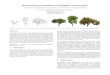 Sketch-Based Tree Modeling Using Markov Random Field - Yale University