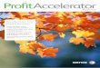 ProfitAccelerator Magazine volume 3 (PDF, 1.5 MB)