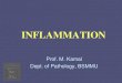 INFLAMMATION - DEPARTMENT OF PATHOLOGY - Department of Pathology
