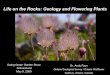 Life on the Rocks: Geology and Flowering Plants
