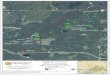 Chinquapin Plantation MoultrieMoultrie 1,318 +/- total acres