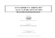 DIVERSITY REPORT and CASE STUDIES - International Franchise