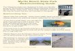 Myrtle Beach State Park Beachcombing Guide