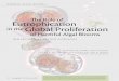 Eutrophication in the Global Proliferation - CHNEP