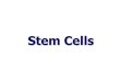 StemCells - bgbunict.it 15-16... · 2016. 1. 29. · Questa tecnica ènota come “Clonazione Terapeutica ... La clonazione èun modo diverso di utilizzare le stem cellsper curare