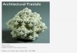 Architectural Fractals - Rutgers Universityarchive.dimacs.rutgers.edu/Workshops/MathArt/Slides/... · 2009. 5. 28. · From: Zeitler/Neidhardt, Fraktale und Chaos. Fractal of the