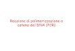 Reazione di polimerizzazione a catena del DNA (PCR)€¦ · Reazione di polimerizzazione a catena del DNA (PCR) Una caratteristica peculiare del DNA: denaturazione e rinaturazione