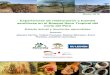 Experiencias de restauración y fuentes semilleras en el Bosque Seco …apps.worldagroforestry.org/sites/default/files/outputs... · 2019. 3. 15. · El bosque seco del norte se divide