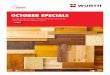OCTOBER SPECIALS · 2020. 9. 30. · expansion stresses, e.g. for sealing cracks in masonry, plaster or concrete. ... R 350.00 Ex vat Purchase 100 for R 700.00 Ex vat 100 in pack