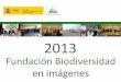 Presentación de PowerPoint - Fundacion Biodiversidad · Presentación del Marco de Acción Prioritaria en Red Natura 2000 (MAP) (Real Jardín Botánico, 14 de marzo) Inicio del proceso