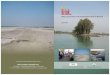 Water Governance in the Yamuna River Basin in Haryana · 2010. 7. 26.  · On the Brink... Water Governance in the Yamuna River Basin in Haryana i This publication is a joint effort