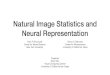 Natural Image Statistics and Neural Representationshz338/slides/CSE254_Natural_Imgs.pdf · Natural Image Statistics and Neural Representation Eero P Simoncelli Center for Neural Science
