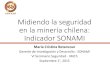 Midiendo la seguridad en la minería chilena: Indicador SONAMI...Midiendo la seguridad en la minería chilena: Indicador SONAMI María Cristina Betancour Gerente de Investigación