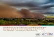 Guideline on Monitoring and Reporting the Impact of Sand and … · 2021. 5. 31. · Box 1: Definitions of Sand and Dust Storms The World Meteorological Organization (WMO) defines