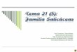 Tema 21 (5): Familia Salicáceas20PDF/Salic%E1...Tema 21 (5): Familia Salicáceas Prof. Francisco J. García Breijo Unidad Docente de Botánica Dep. Ecosistemas Agroforestales Escuela