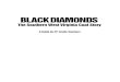 Black Diamonds teachers guide Oct 2002 pagemaker version · 2004. 8. 13. · Introduction About the Exhibit This guide for 8 th-grade teachers accompanies Black Diamonds: The Southern