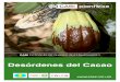 Desórdenes del Cacao - Plantwise · Desórdenes del Cacao. ... • Insectos pequeños, segmentados y de movimiento lento con una capa polvorienta de color blanco lila (violeta) 