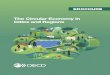 The Circular Economy in Cities and Regions...The circular economy is transformative, systemic and functional. First, it implies First, it implies behavioural and cultural change towards