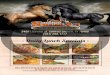 SOLIS SAMPLER $9solis3restaurant.com/download/solis3-menu4web-032221.pdf · 2021. 5. 14. · No. 41 TRIPA PLATE With rice, beans & pico de gallo. $9.99 No. 42 SEAFOOD COMBO PLATE