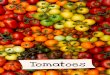 Tomatoes - Food for Life/media/files/kgp... · 2016. 8. 24. · Tomatoes are the most widely grown fruit on the planet. They grow as far north as Iceland and as far south as the Falkland