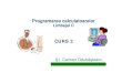 Curs 2Programarea calculatoarelor Introducere în limbajul C IstoricullimbajuluiC CaracteristicilelimbajuluiC Primul program C Elemente de bazăale limbajului C Programarea calculatoarelor