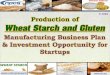 Production of Wheat Starch and Gluten. Manufacturing ......Wheat starch is produced from wheat species such as triticum aestivum, which is additionally referred to as bread wheat